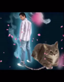 I love cats❤️‍🔥❤️‍🔥#fyp #viral #cat #Love #cats 
