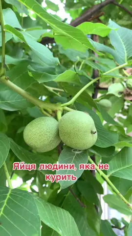 #цьогодня 