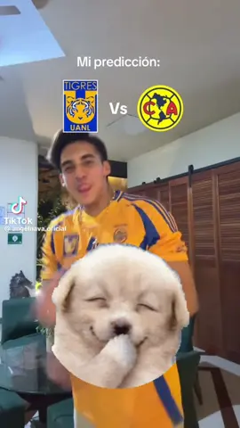 Creían que iban a ganar #tigres #mexican #global #mexico🇲🇽 #americadecorazon💙💛🦅 