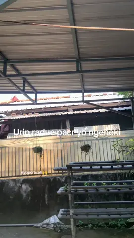 Tangi turu langsung nyandak layangan #blitar24jam #babonangremmini #xybca #superjet#fyppppppppppppppppppppppp 