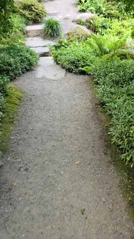 Visiting the Bellview Botanical Gardens 