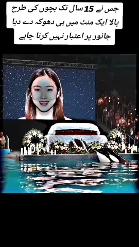 Dolphins # #ripjessica #fishattack #dolphen #jessic #creatorsearchinsightsview 
