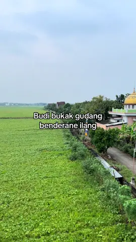 Budi bukak gudang #budispeed #rombongannyeni #fyp @danielbudianto28 @Budispeed 