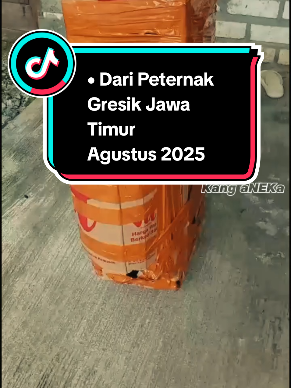 Dari Peternak Gresik Jawa Timur -- #peternakgresik #peternakjatim #mesincacah #kanganeka 