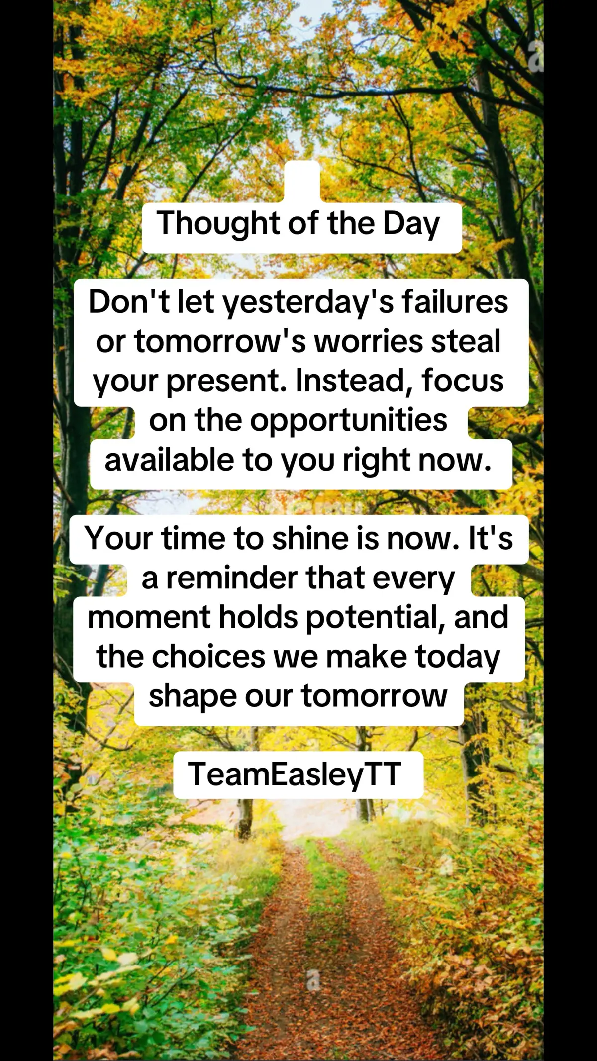 Thought of the Day #TeamEasleyTT #magic🐺wolves #goldcoastvibess #👑teamofkings👑 #royaltyvibes👑 #bpartyb #estilopinafamilia⚜️ #🎺str8flavor⭕️ #all💖4💙one💫 #dd💫universe #🔱👑Galaxy💫of👑Magic🐺wolves #teamallove💙 #ojoslocas🖤locos💋 #ojoslocas🖤locos💋 #💙👑westcoastfinest👑💙affiliated #Bondedoportillo #fyp #fypシ #foryoupagе 