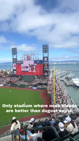 Oracle Park views #fyp #sf #giants