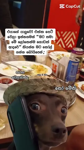 මෙව්වනම් 😂#viral #shanki #fffffffffffyyyyyyyyyyypppppppppppp #goviral #creatorsearchinsights 