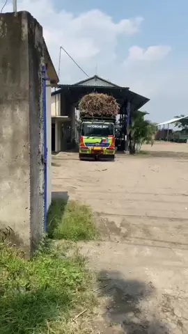 #masukberandafyp #tebubalapjatim #fypage #padahariini #sopirtruck 