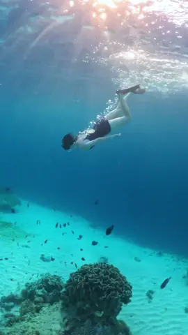 Ga sia-sia perjalanan yang super panjang dari jakarta sampe ke gili trawangan untuk view yang superrrrrr indahhhh🥹🫶🏻💯💯 . #gilitrawangan #explore #snorkeling #lombok #thingstodo 