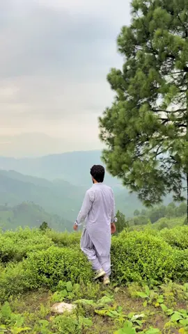 View⛰️🏔️🌄🏞️#green#mountain#foryou#fyp