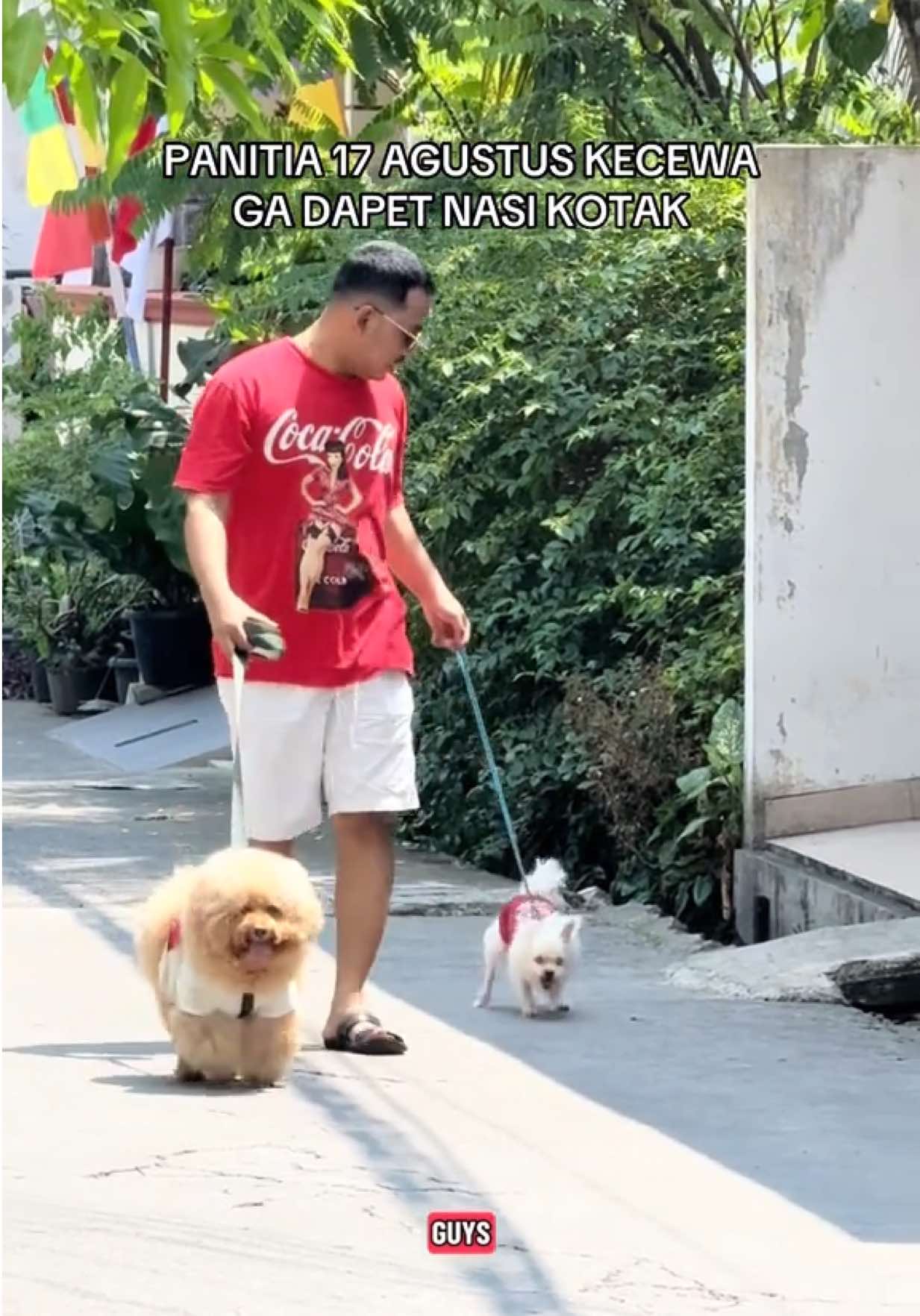 padahal soka mau jadi panitia demi nasi kotak