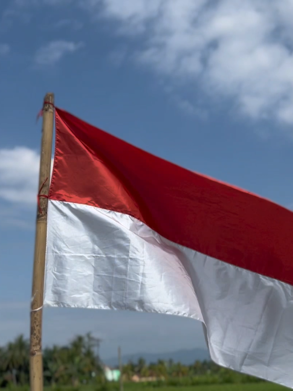 Selamat hari kemerdekaan Indonesia ke 80th 🥳🇮🇩#merdeka #17agustus2025🇲🇨❤️ #gtogkoreaselatan🇲🇨🇰🇷 #lkpkimchicianjur #cpmindonesia 