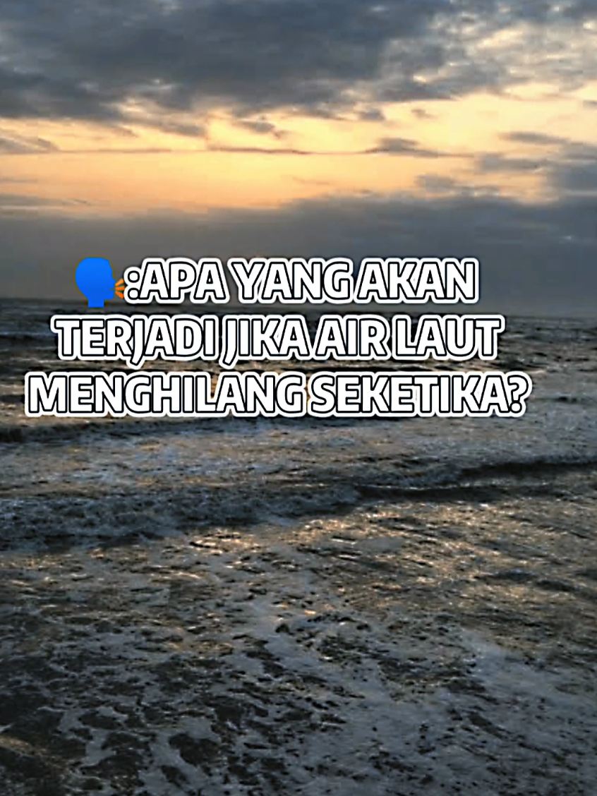 Jika air laut di seluruh dunia tiba-tiba menghilang seketika maka bumi akan langsung kacau, seluruh ekosistem laut hancur karena miliaran makhluk hidup di dalamnya mati termasuk plankton yang menjadi penghasil oksigen utama sehingga manusia akan kekurangan udara bersih, suhu bumi berubah drastis karena laut adalah pengatur iklim terbesar sehingga siang bisa terasa sangat panas dan malam sangat dingin, dasar laut yang terbuka akan mengeluarkan gas beracun dan menimbulkan retakan besar yang memicu gempa serta letusan gunung berapi karena tekanan kerak bumi berubah, sungai kehilangan aliran airnya, siklus hujan berhenti sehingga kekeringan meluas, pertanian gagal total, hewan dan manusia kekurangan air, kota-kota pesisir bisa runtuh karena fondasinya tidak stabil tanpa tekanan laut, dalam waktu singkat manusia menghadapi kelaparan, kekeringan, udara beracun, hingga suhu ekstrem dan dalam jangka panjang bumi berubah jadi planet tandus yang tidak layak huni lagi. #fyp #laut #air #lewatberandafyp #fyppppppppppppppppppppppp 