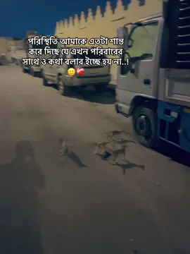 পরিস্থিতি আমাকে এতটা শান্ত করে দিছে যে এখন পরিবারের সাথে ও কথা বলার ইচ্ছে হয় না..!🙂❤️‍🩹#kazi_shaon_10 #fpyシ 
