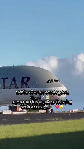 #creatorsearchinsights #✈️✈️🥀 