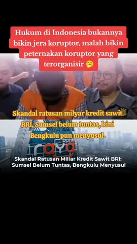 Skandal kredit perbankan yang melibatkan oknum PT Bank Raya Indonesia dan perusahaan sawit ternyata bukan hanya terjadi di Sumsel. Kejaksaan Tinggi Bengkulu kini membongkar kasus serupa, mempertegas adanya pola kongkalikong terstruktur antara perbankan dan korporasi di berbagai daerah. #fypシ゚viral🖤tiktok #viraltiktok #kreditBank #sawit #tolakruukejaksaan 