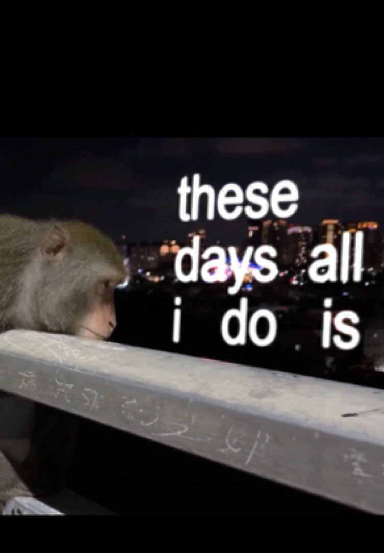 hotline bling #drake #song #lyrics #edit #monkey 