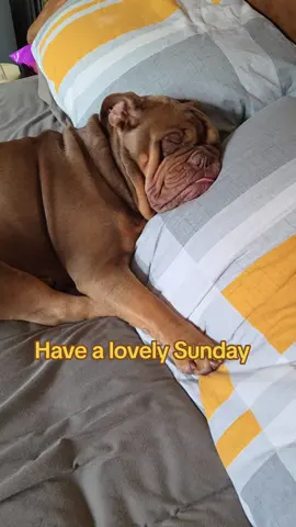good morning everyone #spudandbessie 