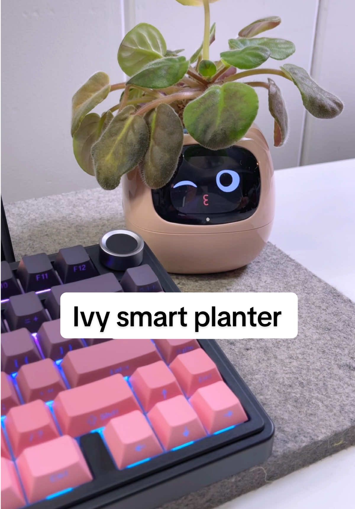 The Ivy Smart Planter makes plant care simple and fun. This adorable planter lights up to remind you when your plant needs water, so no more guessing or droopy leaves. It’s the cutest way to keep your plants happy and thriving. Grab it while it’s on sale
