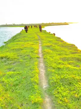 সুন্দর ☺️❤️‍🩹#rs_raju#foryou #foryoupage #fyp #viral