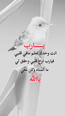 #عبارات_دينيه #يارب انت وحدك تعلم مافي قلبي#عبارات_عن_الحياة #عبارات_هرماس #اكسبلورexplore 