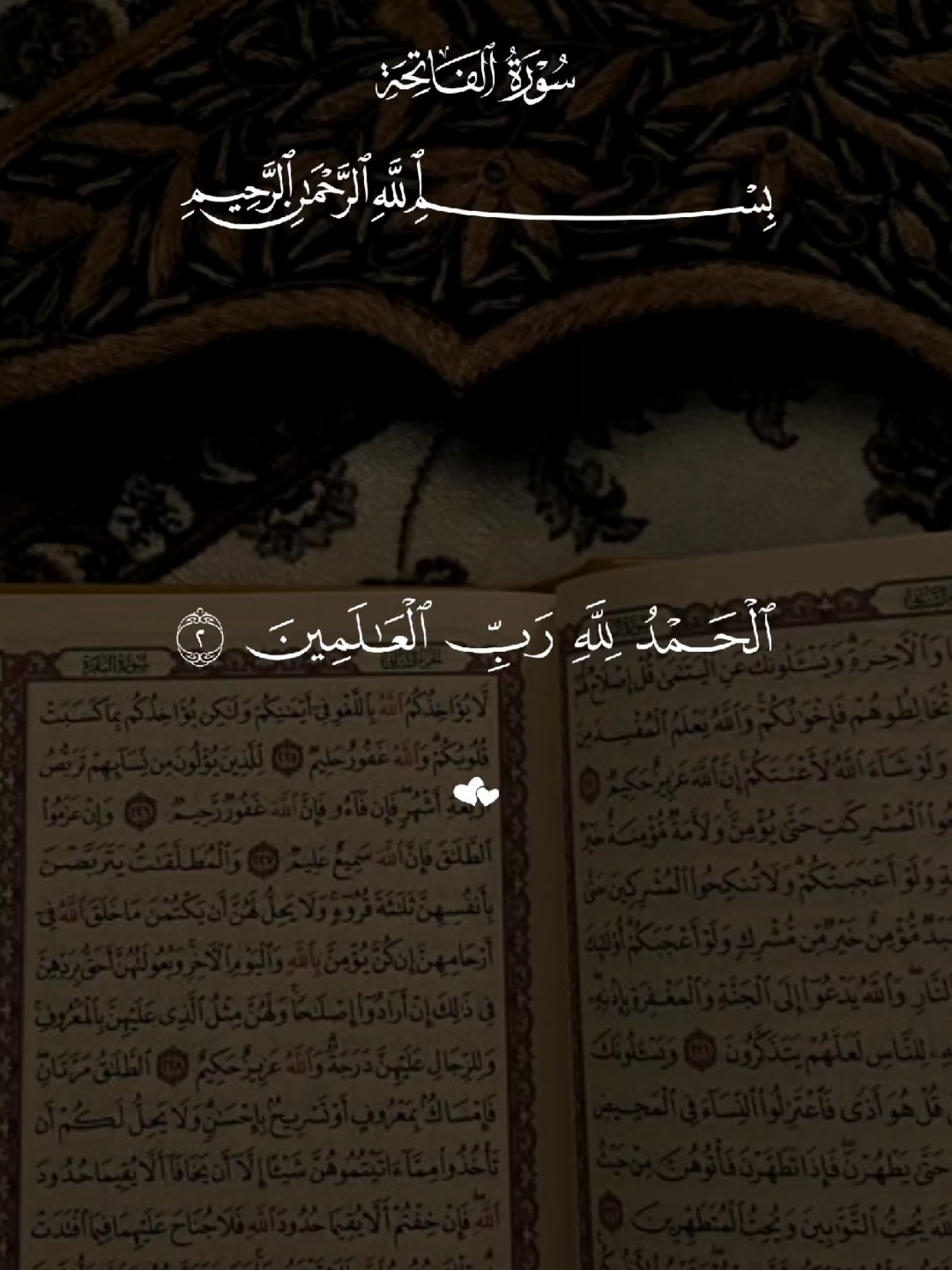 سورة الفاتحة و سورة الإخلاص و سورة الفلق و سورة الناس 🤍 #القران #quran #القران_الكريم #quran_alkarim #تلاوة_خاشعة 