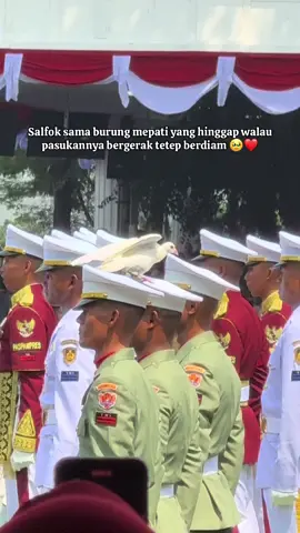 Momen ada seekor  burung merpati yang hinggap di kepala saat Upacara HUT RI ke 80, walau pasukannya bergerak tetap hinggap 😭 #hutri80 #hutri80indonesia🇮🇩 #hutri #upacarabendera #fyp