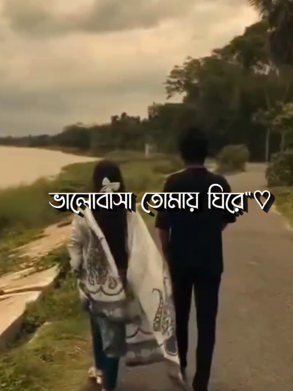 তুমি কেনো বোঝো না 