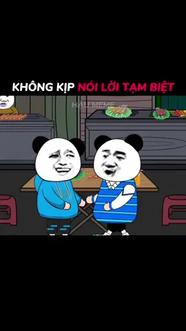 Những lời tạm biệt chưa kịp nói ra #haumeme 