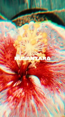 Dirgahayu Indonesiaku  #CapCut #17agustus #indonesia🇮🇩 #merdeka #dirgahayuindonesia 