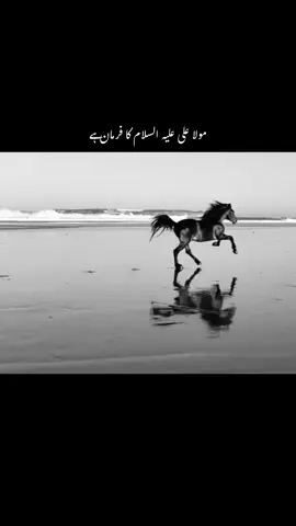 🥹❤️‍🩹🍂#foryou #goviral #viralvideo @TikTok 
