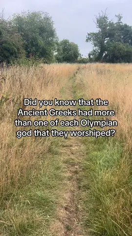 Greek region and how they actually practiced their religion is so very interesting but most people only seem to be interested in mythology which is very understandable but also sucks. Isn’t it fascinating to see how people are reflected in religion? How you can tell their values based on which gods were most important to them and what they were god of? Hero cults are also very interesting I should definitely make a video on them. Or well, multiple, because I can’t cover everything in one go. #ancientgreece #greece #olympiangods #religion #anthropology 