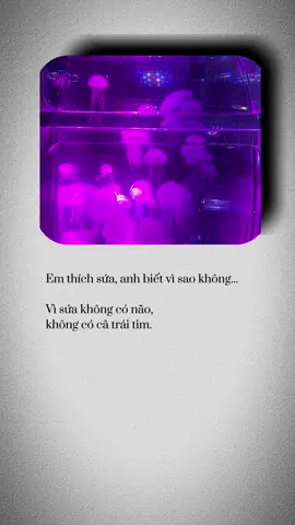 Tùy tâm vậy #🖤 