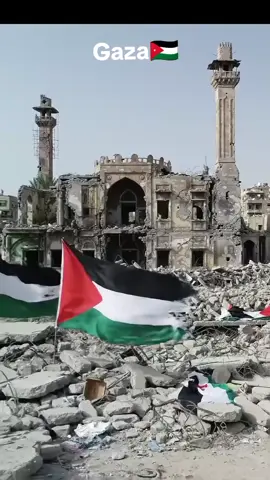 Please pray for gaza😭🇯🇴 #freegaza🇵🇸 #freepalestine #freepalestine🇵🇸❤️ #Gaza 