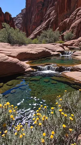 somewhere in the earth look not real 🌿🌎❤️✨  swimming pool haven ❤️🍀 #redrocks #desert #waterfall #traveltiktok #hiddengems 