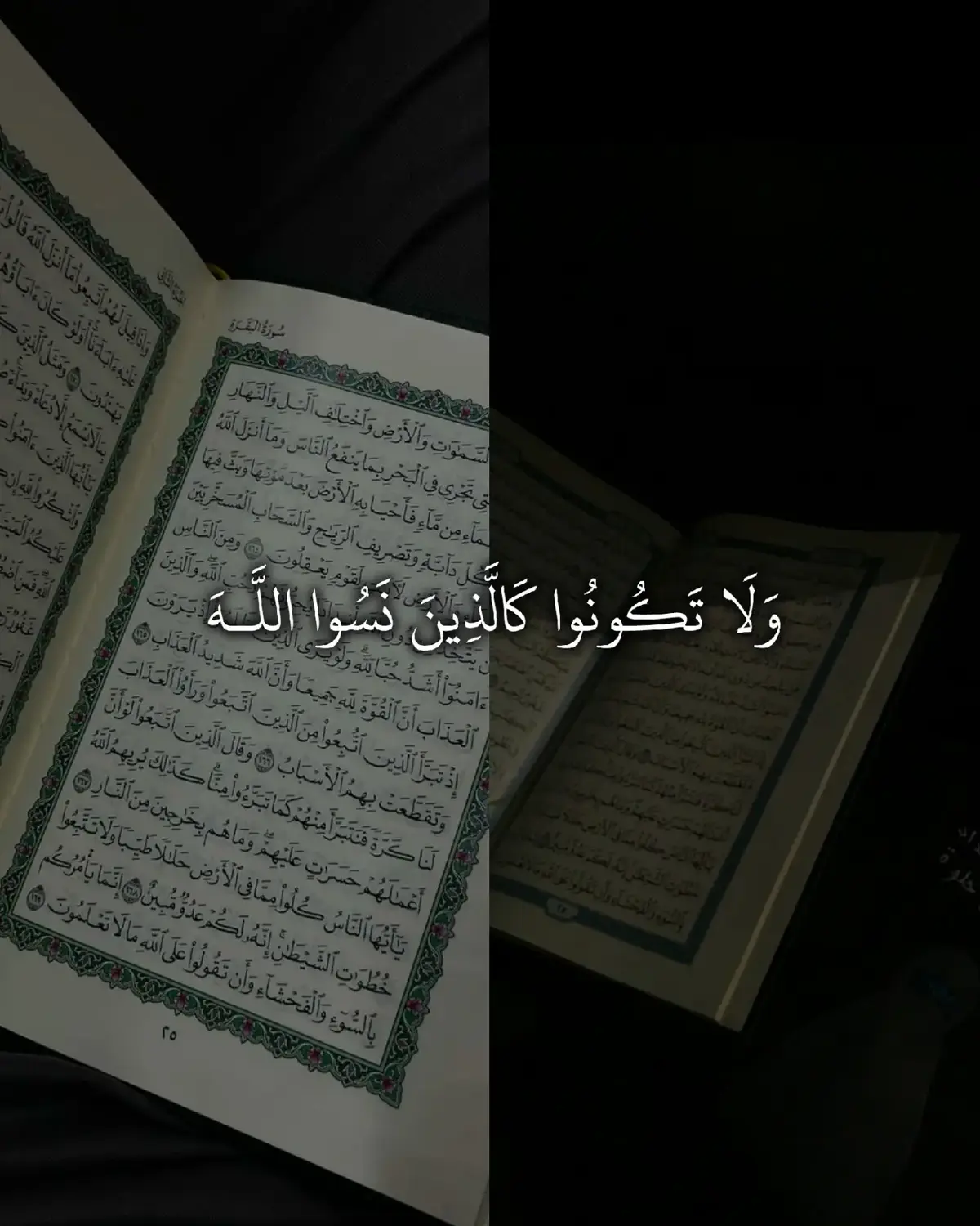 #قران_كريم #ارح_سمعك #قران #سورة الحشر 
