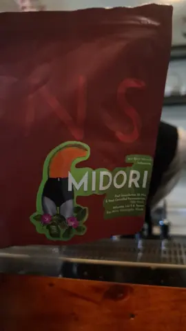 KOPI RASA MELON??? | Jika Sasuke punya Chidori maka Constant Roastery punya MIDORI | Kalo ke pasar nyari melon tapi abis? mending cobain MIDORI | @constantroastery.id @backwithmejulian @dwikifdl | #fyp #coffee #manualbrew #v60 #honeydew 
