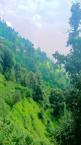 ##foryou #viral #video 100k views 10k like 👍 👌 @bacha  khan12345 @Rahim Badshah @Muhammad Ismail @💕malang 💞Jan💞 @𝄟≛⃝ ʜᴋ ᴀʀᴛɪꜱᴛ 𝄟≛⃝🐼 