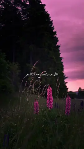 دعاء جميل في هذا الصباح 🤍✨#صباح_الخير #صباح #صباحكم_أحلى_صباح #صباحكم_معطر_بذكر_الله #دعاء #دعاء_يريح_القلوب #دعاء_جميل #دعاء_عظيم #اكتب_شي_توجر_عليه #fyp #explore 