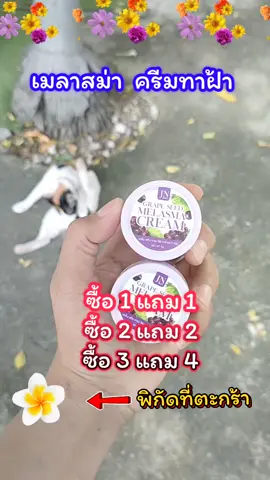 ึุ#jn #melasma #เจเอ็นสกิน #เมลาสม่า #ครีมทาฝ้า 