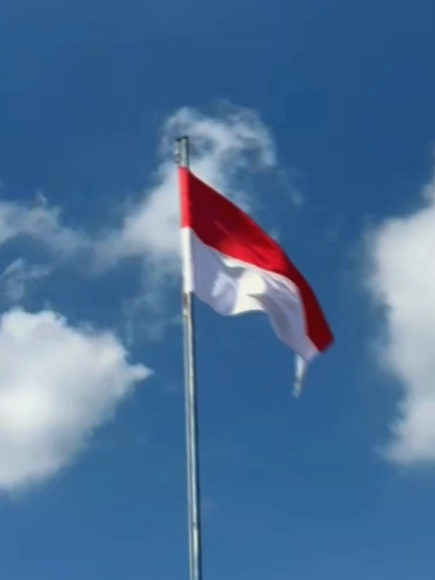 pengibaran bendera merah putih #17agustus #pengibaranbendera#santripondok #raudlatululum #fyp 