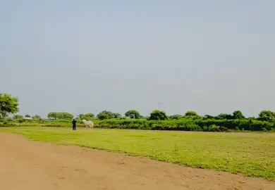 #chakwal #tentpegging #ثقافت #specialinvitation #tentpegging 