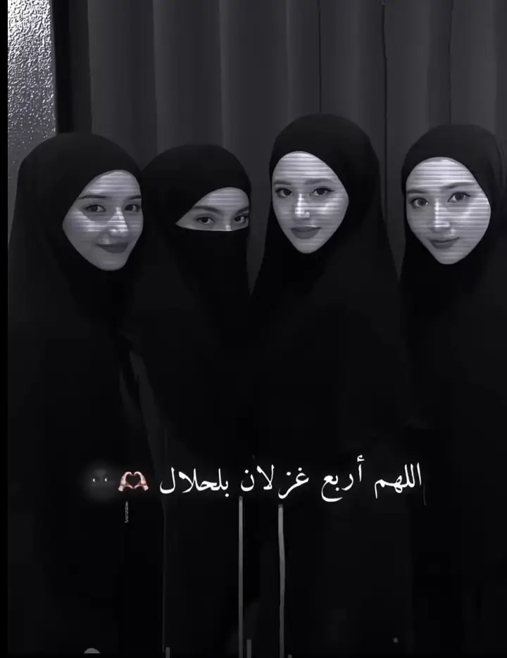 اللهم اربع غزلان بلحلال 🙂🫶 #وهيج_يعني_🙂🌸 #مجرد________ذووووووق🎶🎵💞 