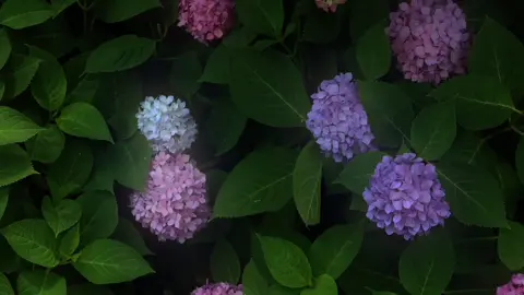 “Thế giới sẽ thật đẹp,khi em biết yêu chính bản thân em.”🤍 @tiểu yến móc len #xuhuong #viral #flowers #fyp #foryou 
