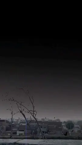 𝐋𝐢𝐧𝐞𝐬 