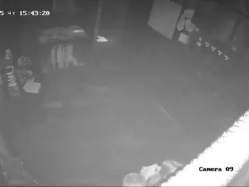 #хоррорквест #квест #хоррор #зоопсихоз