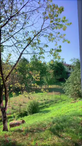 #fyp #foryou #fyp #fyp #foryou #foryou #fyp #foryou #fyp #balkan #viral #fyp #fyp #fyp #fyp #foryou #fyp #fyp #fyp #foryou #fyp #fyp #fyp #fyp #fyp #foryou #balkan #viral #fyp #fyp #foryou #fyp #fyp 