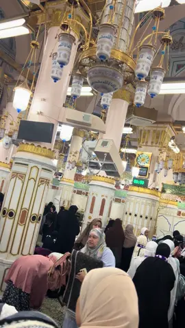 Madina💚Raudhah #madina #madinah #madinahalmunawaroh #masjidnabawi #umrah 
