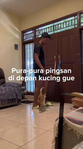 pingsan soalnya setnov bebas di hari kemerdekaan