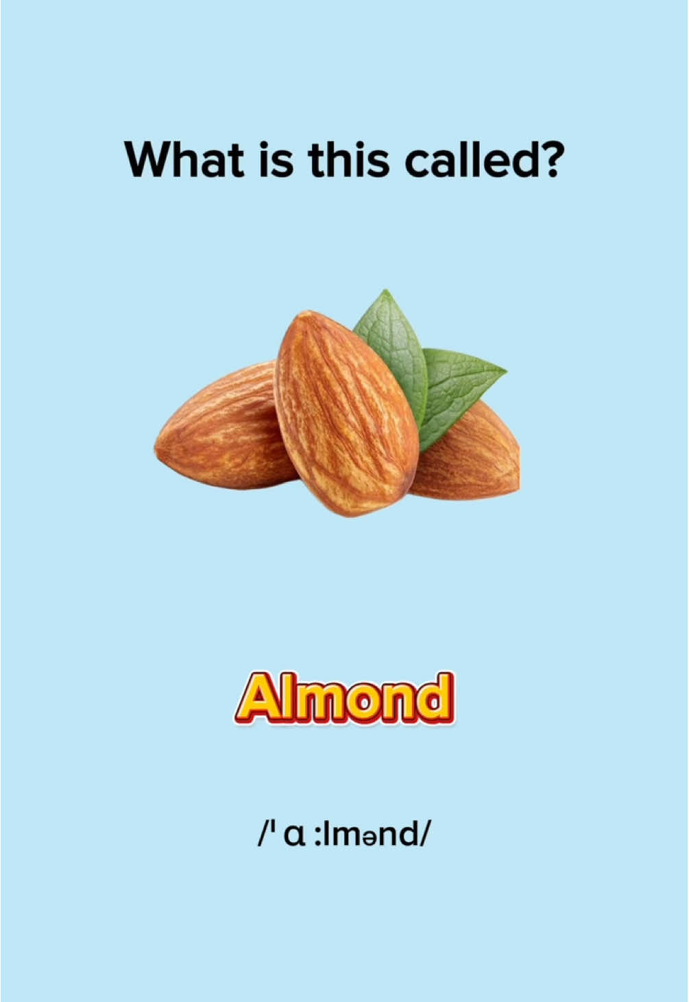 Nut Names in English 🌰🥜#LearnEnglish #EnglishLesson #EnglishPractice #EnglishVocabulary #EnglishWords #EnglishQuiz #EnglishGrammar #ImproveYourEnglish #englishtiktok #EduTok #EnglishMinute